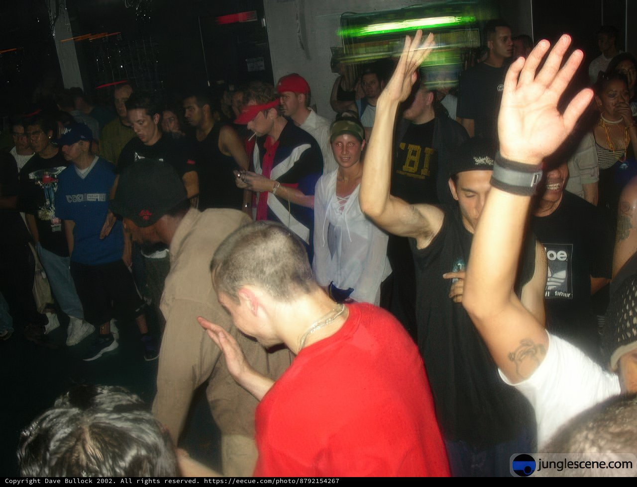 Partygoers Let Loose and Raise Their Hands