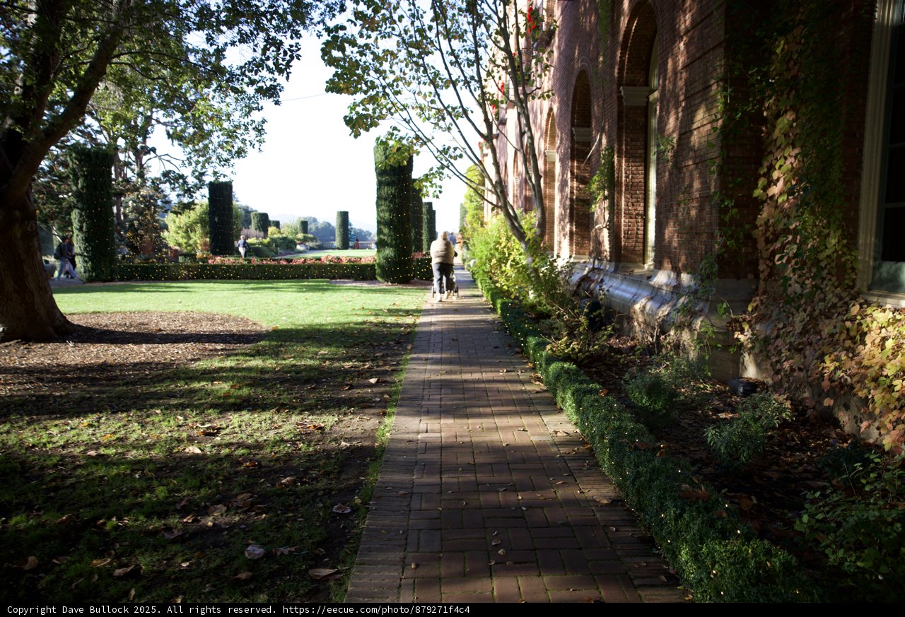 Autumn Walk at Thistlewyck