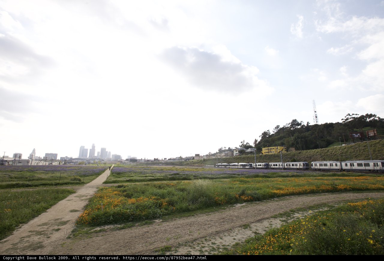 Train Ride through Nature's Beauty
