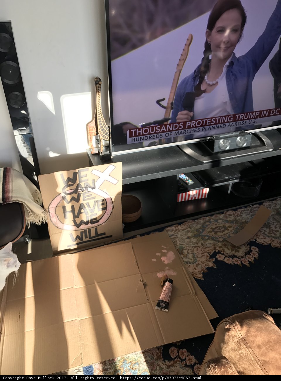 Entertainment Center Companion
