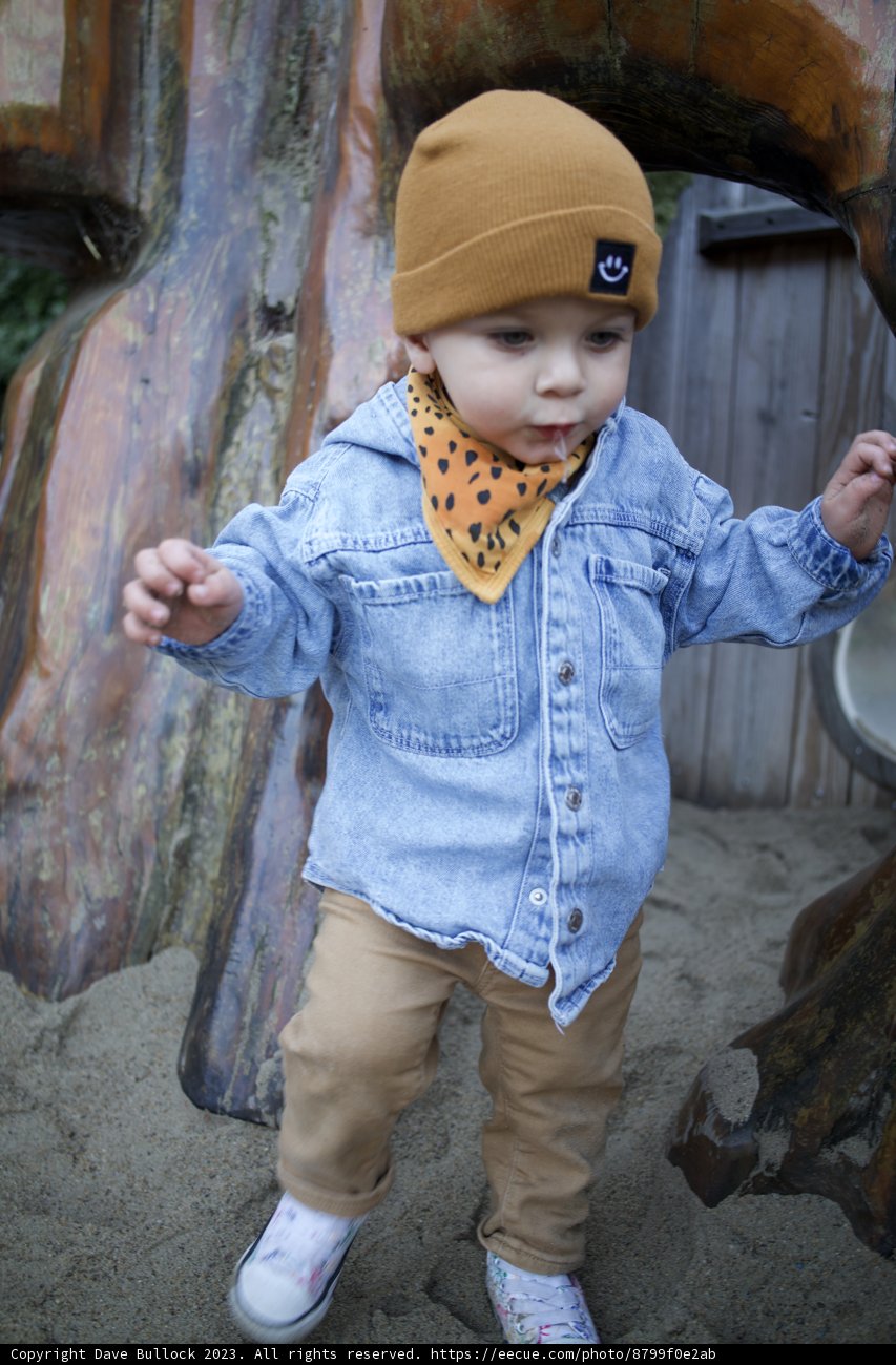 Little Adventurer at SF Zoo, November 2023