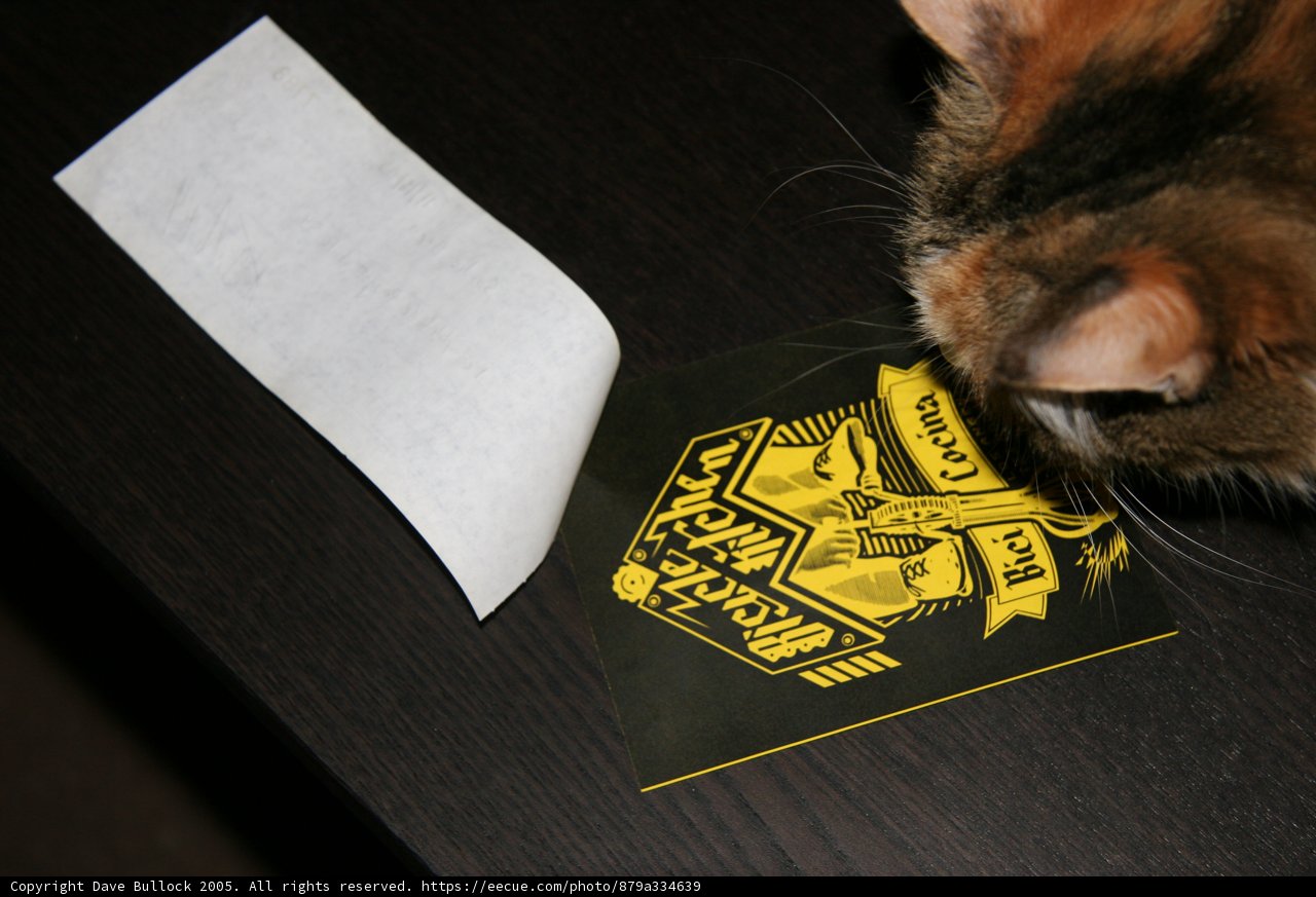 Curious Cat and the Sticker on the Table