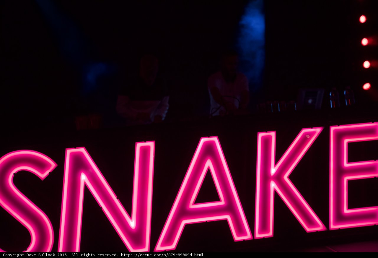Snake in Neon Lights