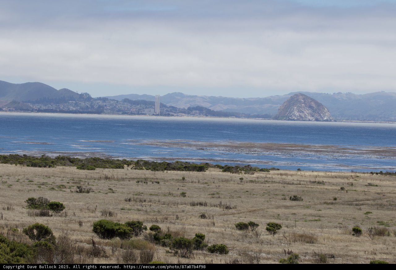 Coastal Serenity in Cayucos