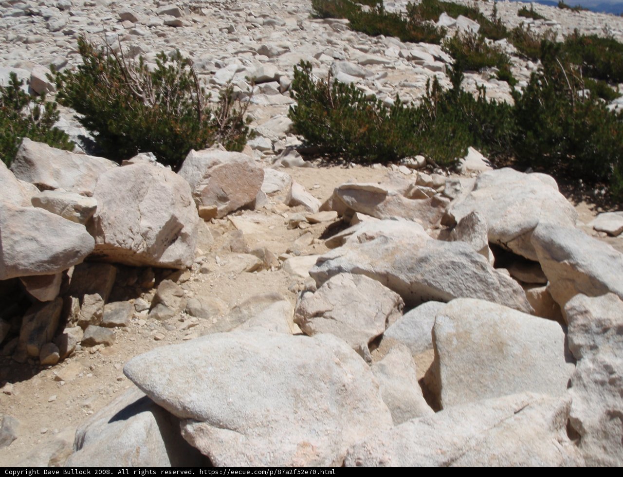 A Rocky Oasis
