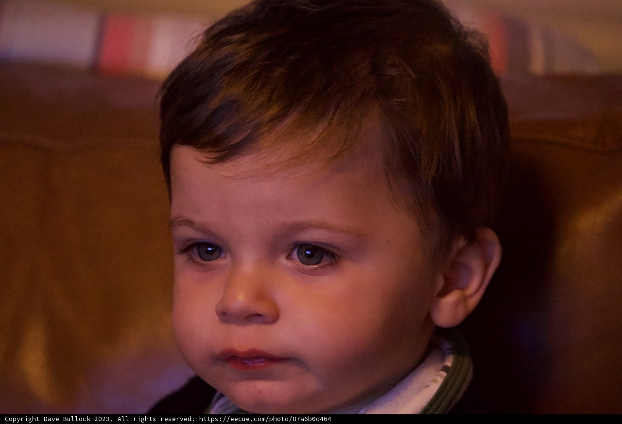 Longing Gaze: Portrait of Wesley