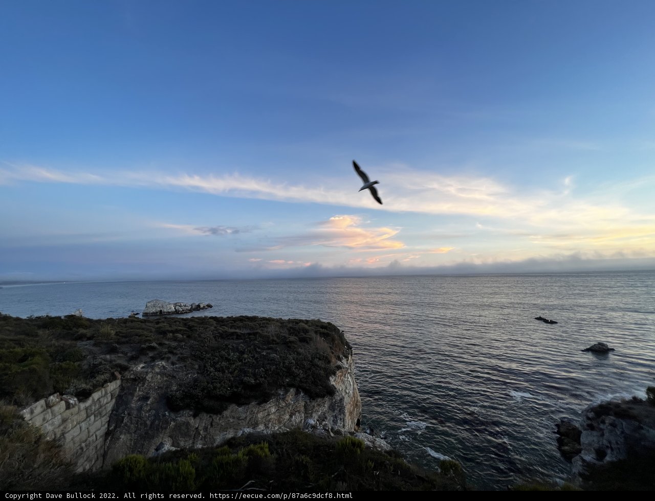 Sunset Flight