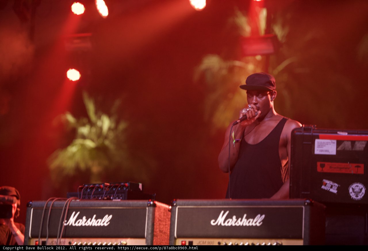 Amplifying the Crowd