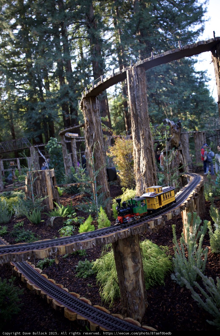 Enchanted Rails at Thistlewyck