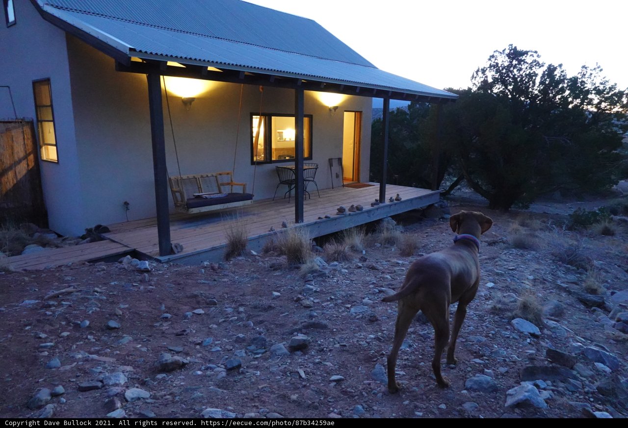 Canine Guardian of the Countryside