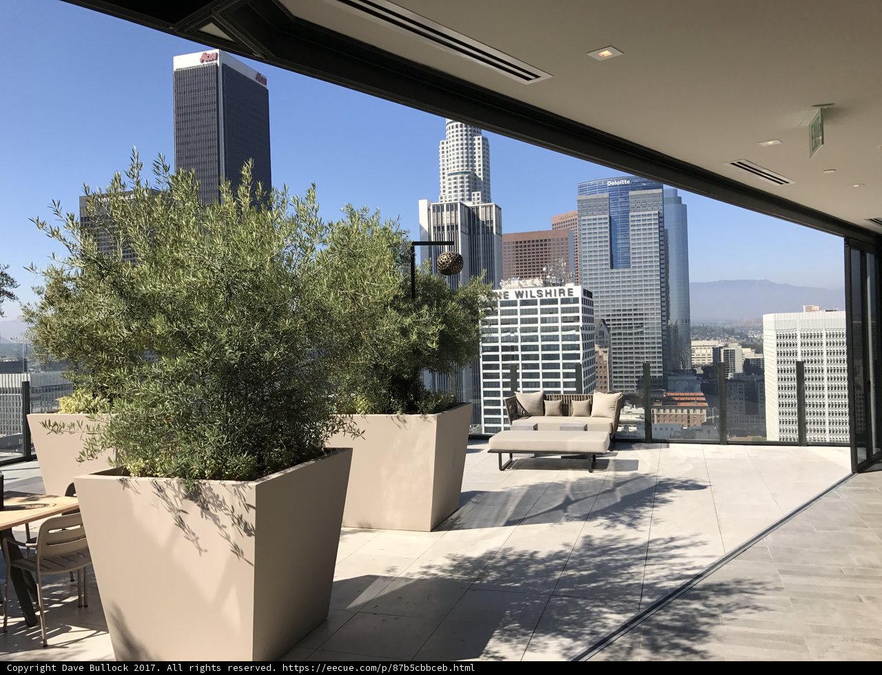 A View of the Urban Jungle