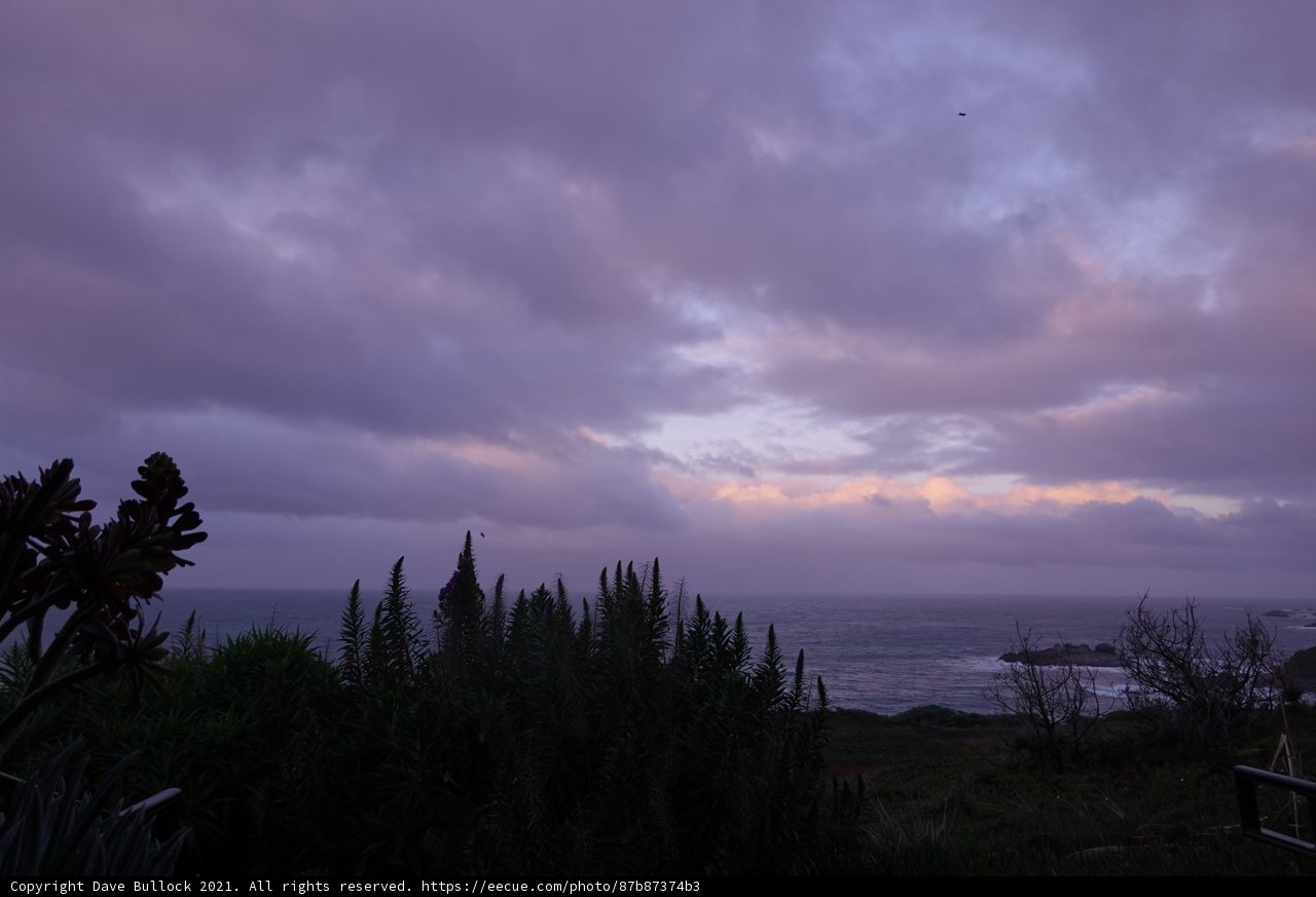 Purple Skies Over the Ocean