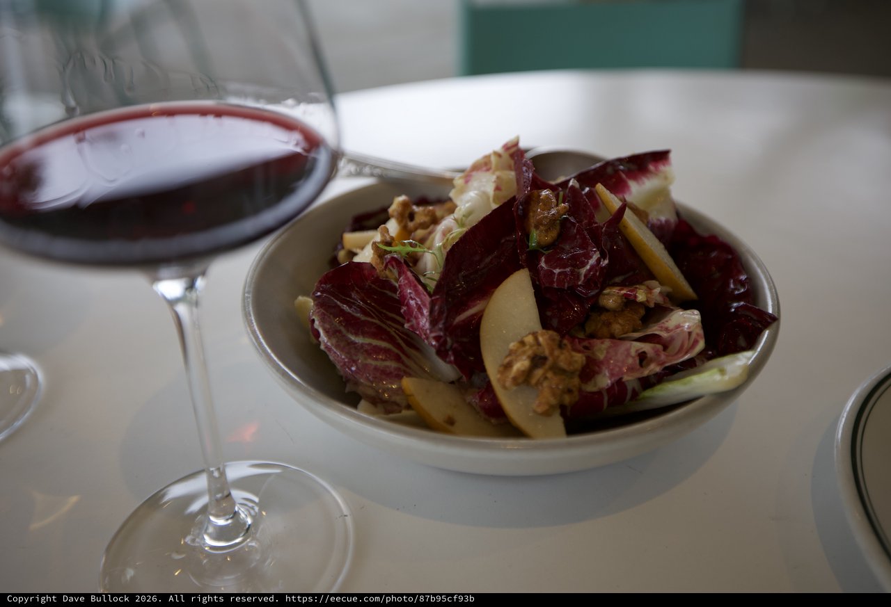 Elegant Wine and Radicchio Salad Pairing