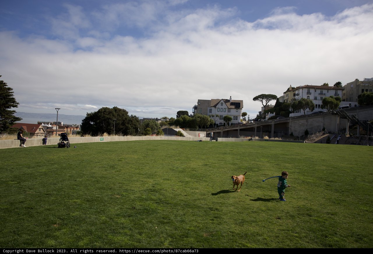 A Joyous Day at Francisco Park