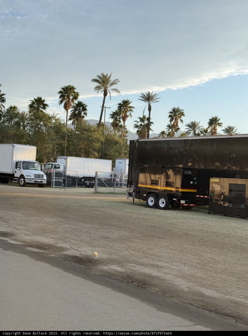 Trucks Amongst the Palms