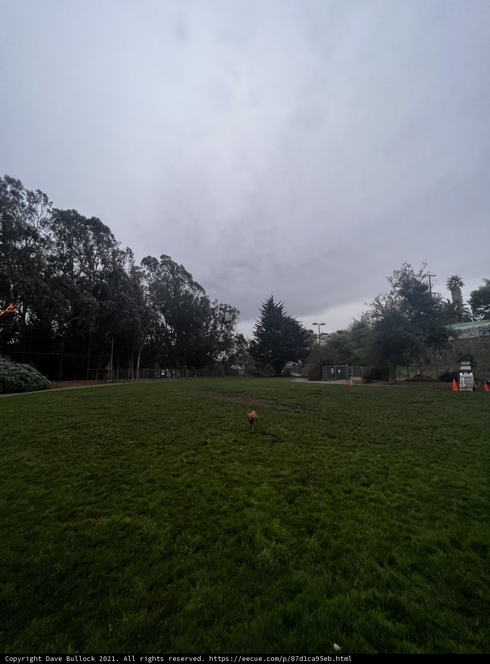 Serenity in the Park