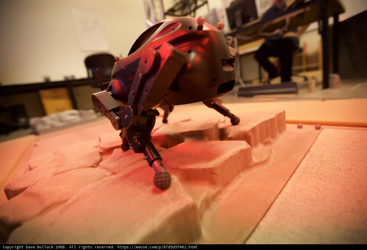 Robotic Intrusion
