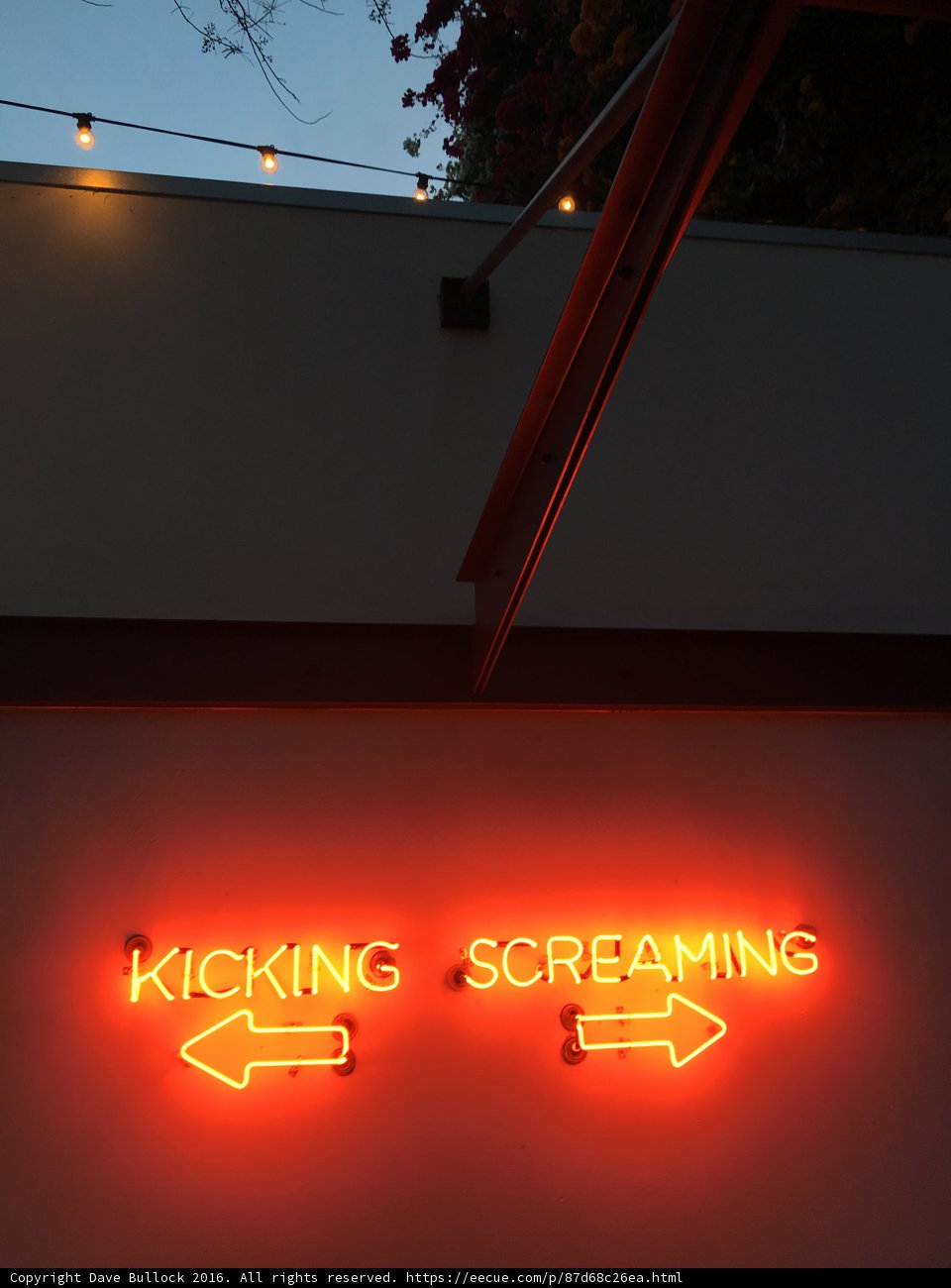 Kicking and Screaming in the City of Angels