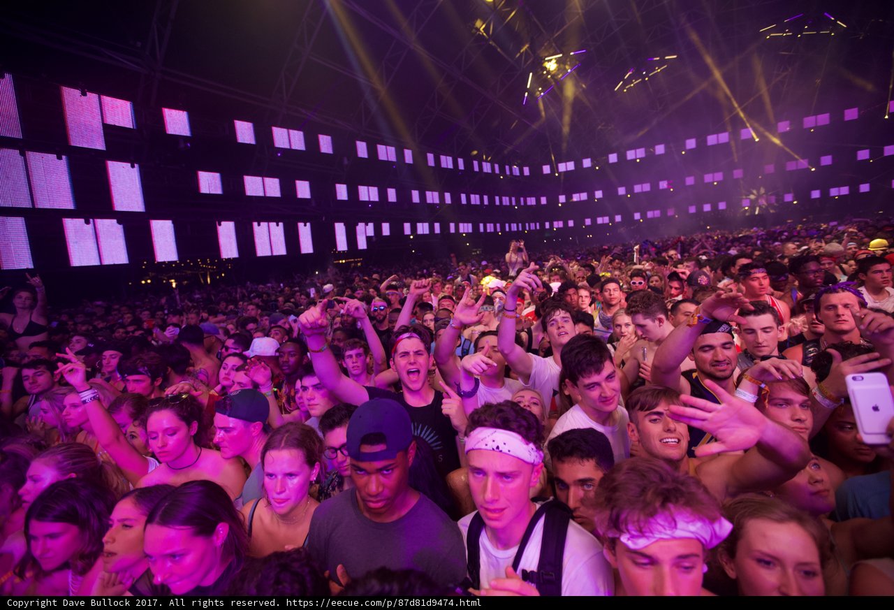 Purple Haze at Coachella