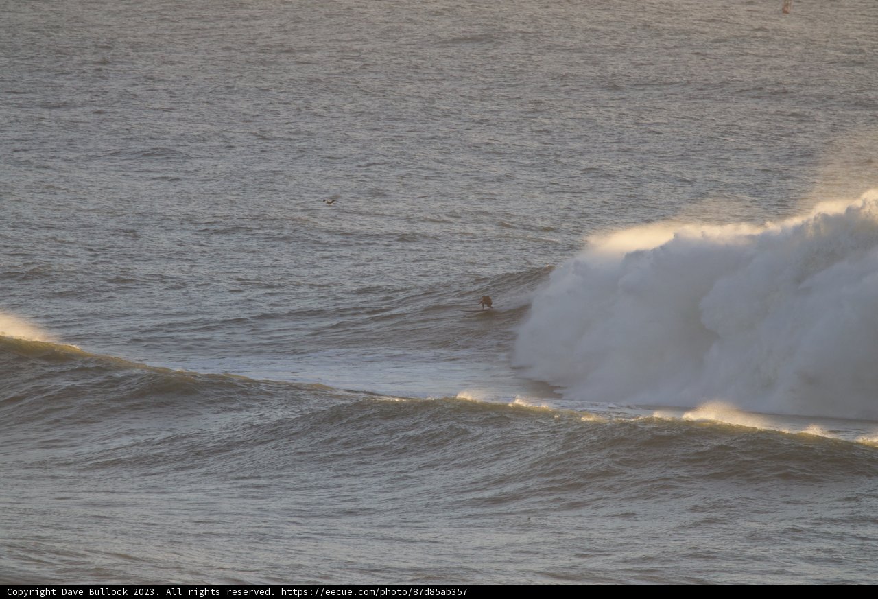 Embracing the Waves - Big Surf Day 2023