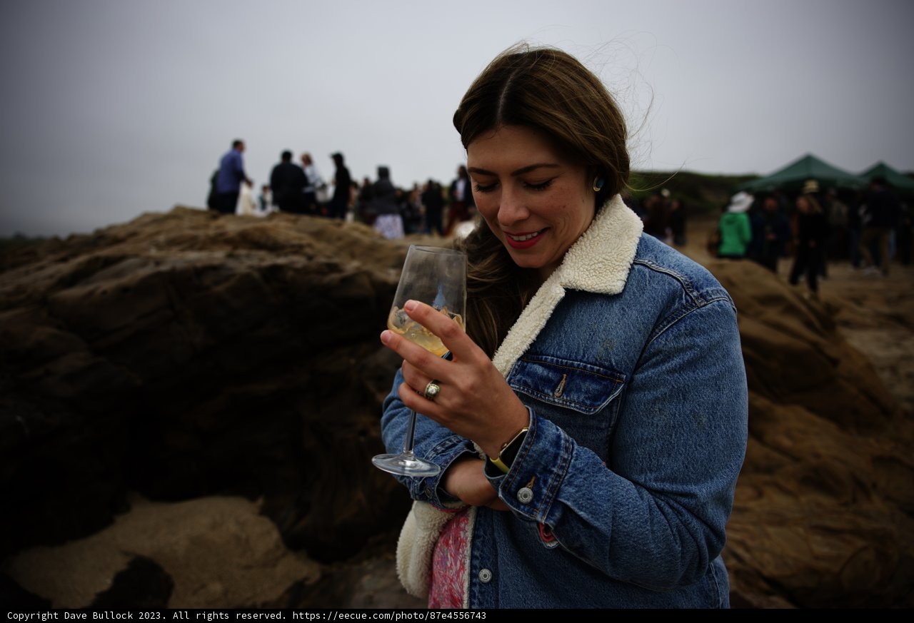Sun-kissed Delight: Wine and Waves by Pescadero Beach