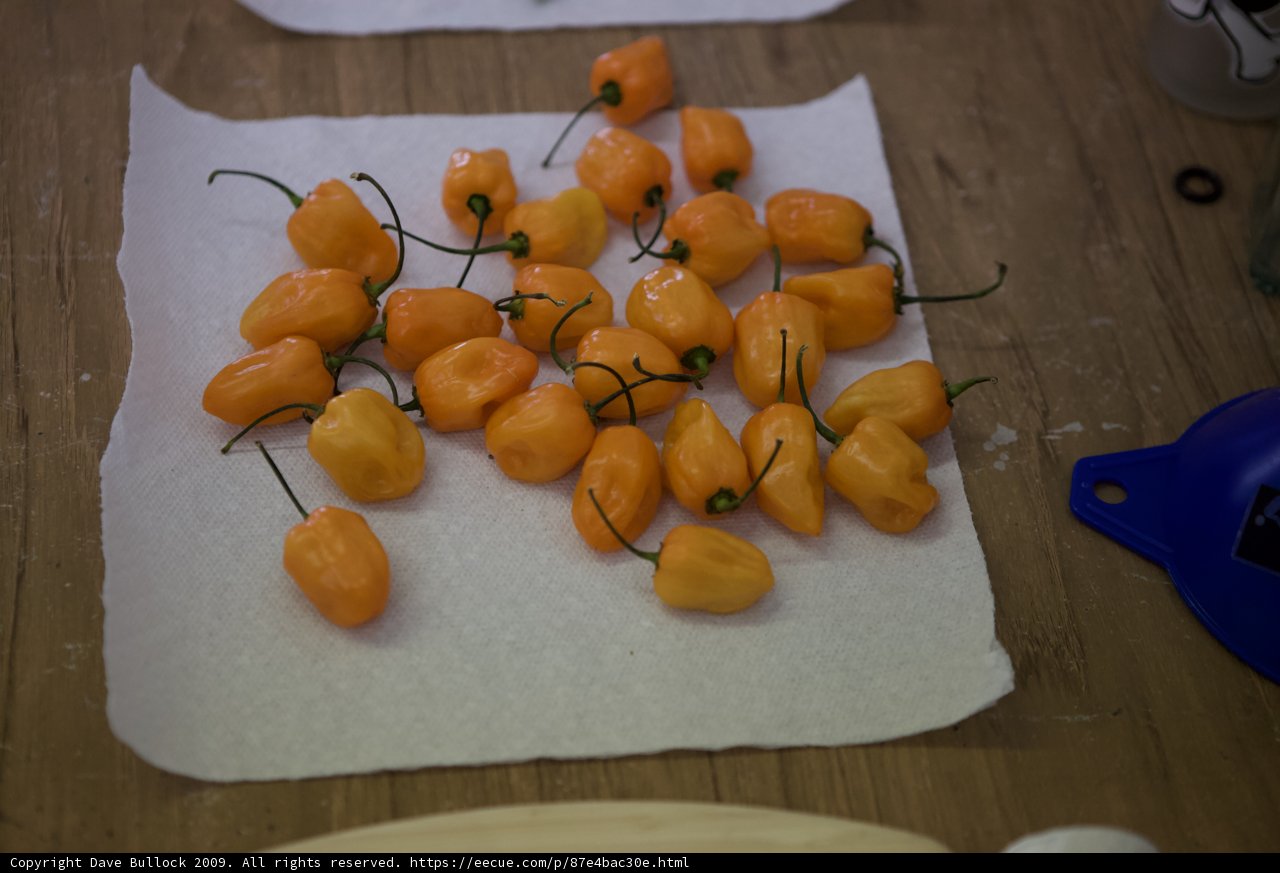 Peppers on Parade