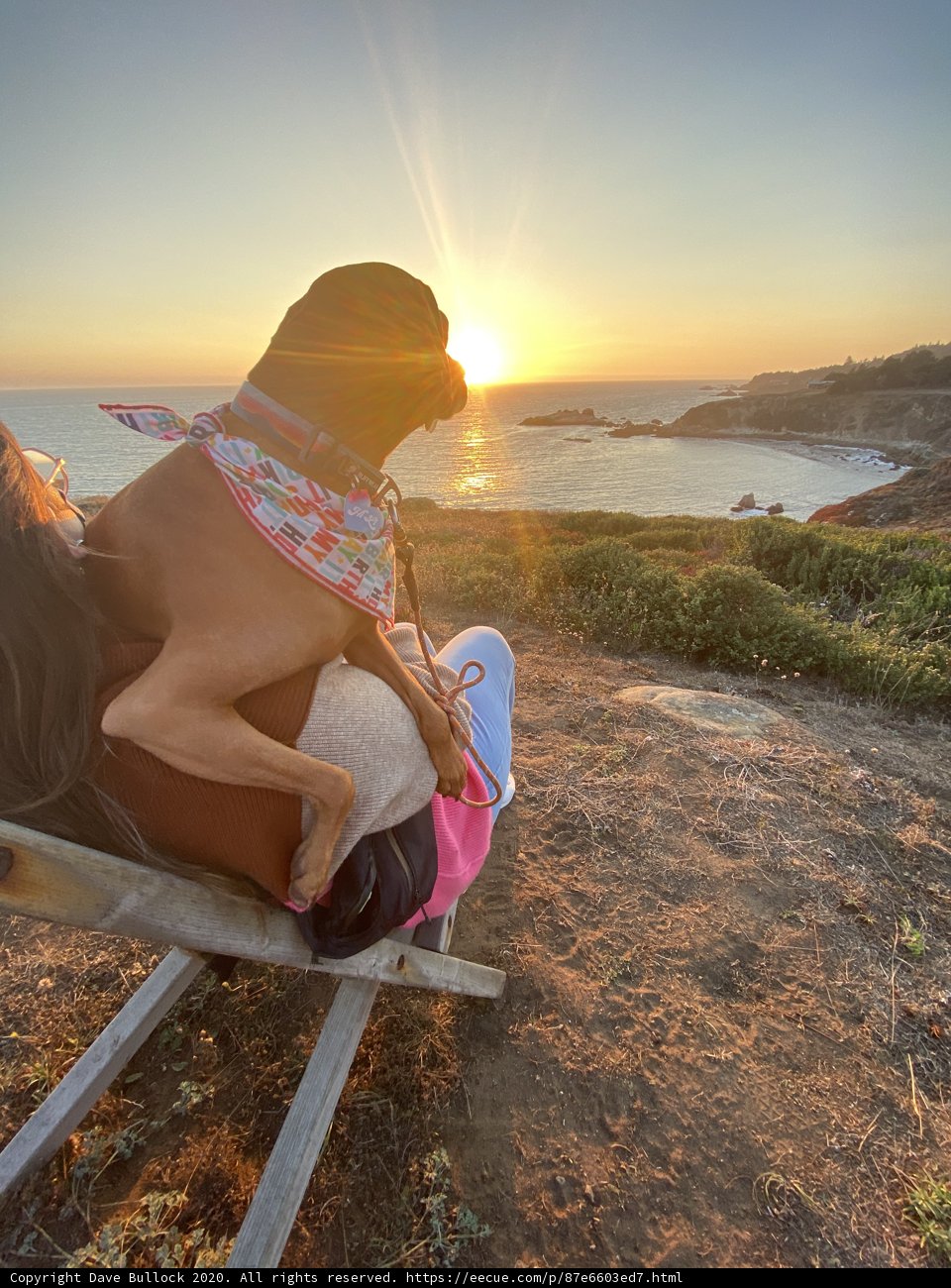 Sunset Reflections with my Furry Best Friend