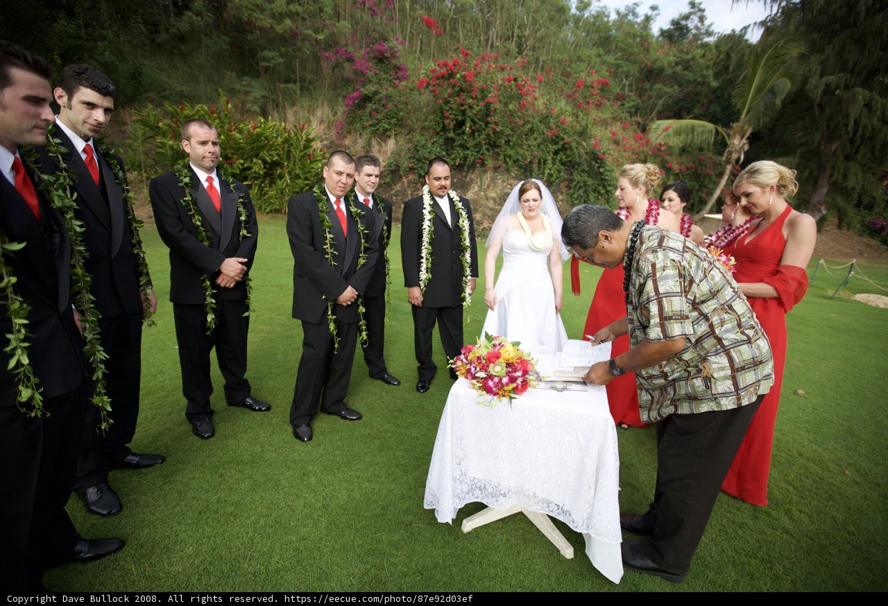 Wedding Bliss in Hawaii