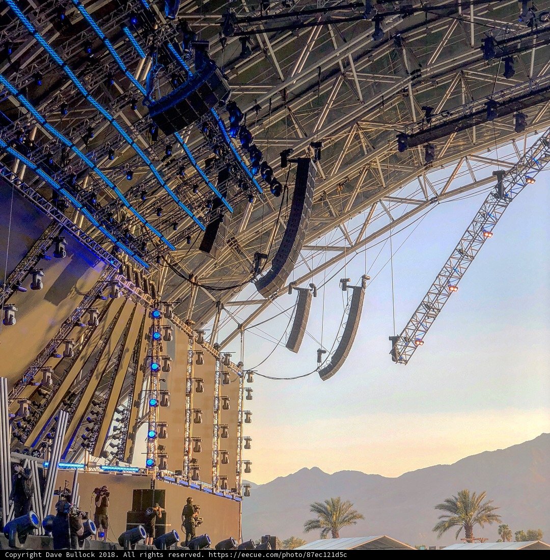 Amidst the Palm Trees: A Concert Crowd