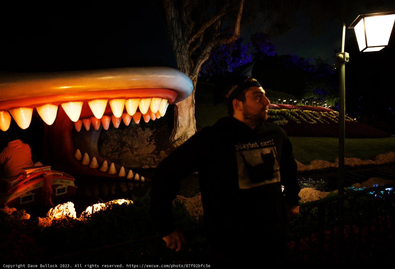 Dare to Face the Shark