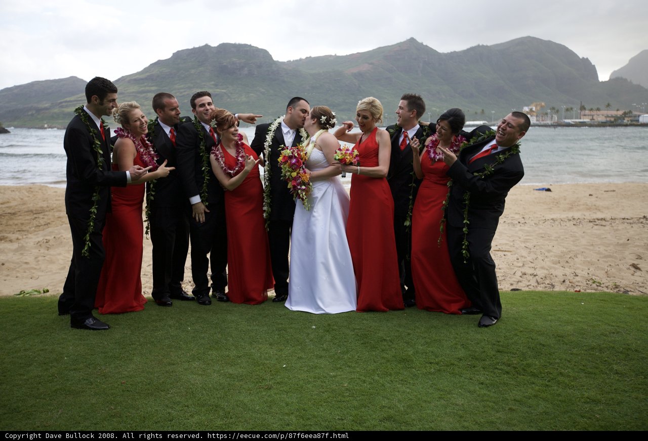 Wedding Party on the Cloudy Beach