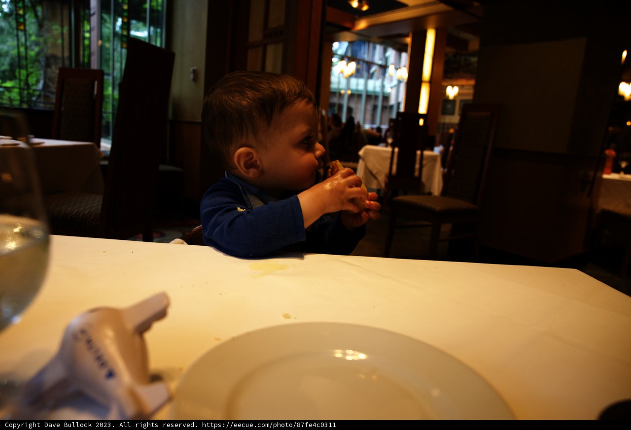 Little Foodie's Big Adventure