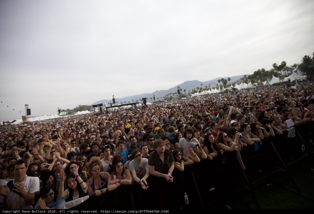 Festival Frenzy
