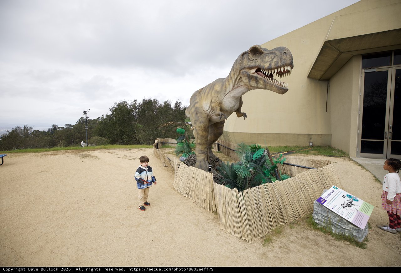 Children Explore Life-Size T-Rex Dinosaur Display at Museum