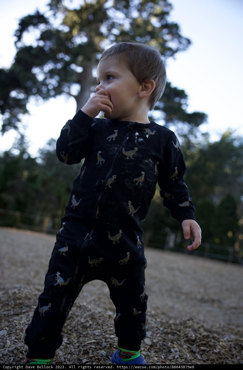 Young Explorer on a Rustic Path