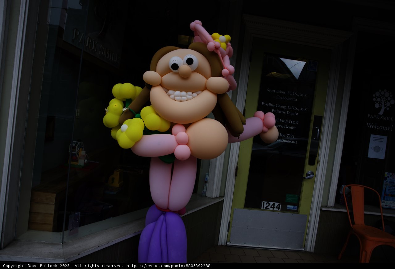 Whimsical Balloon Art at the San Francisco Botanical Garden