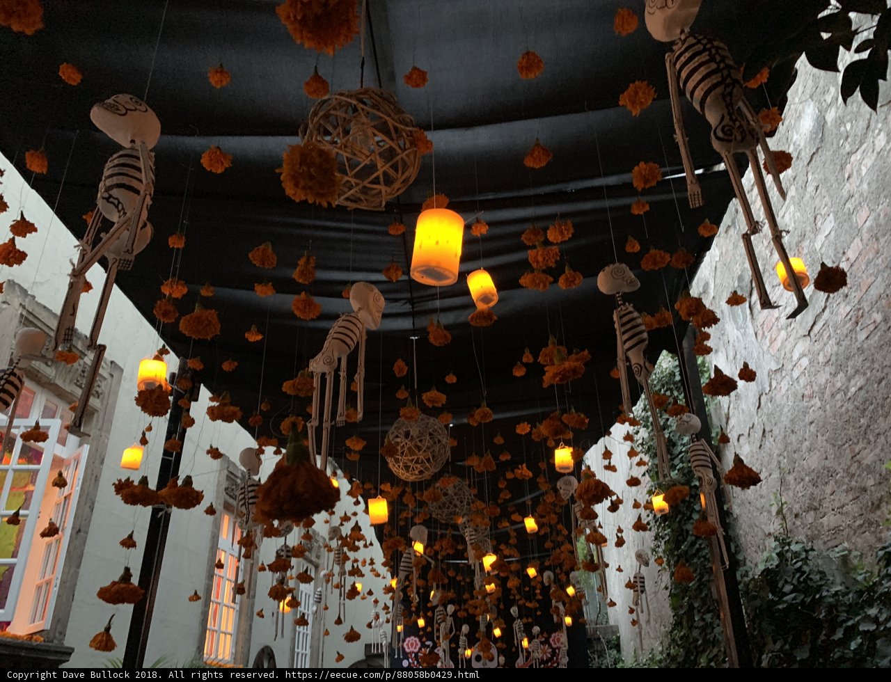 Spooktacular Halloween Lighting