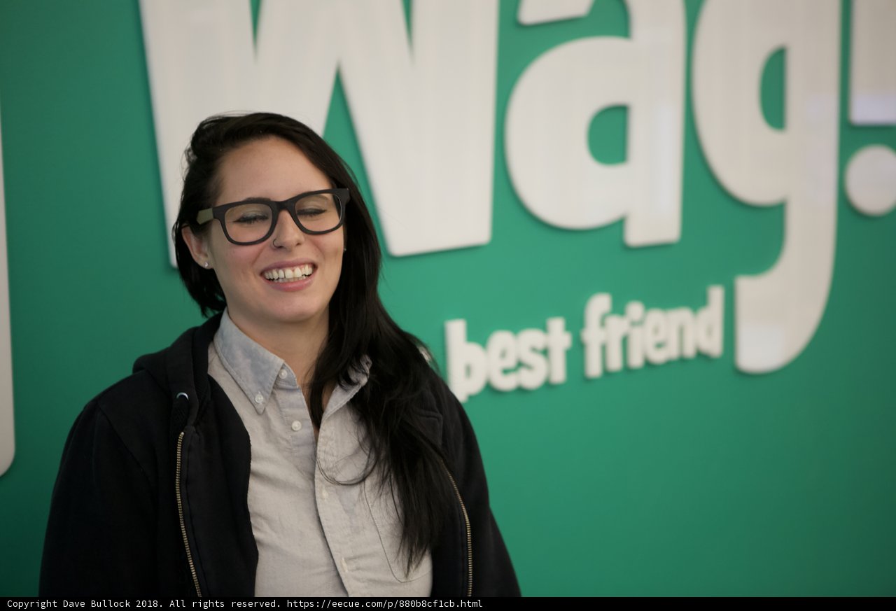 Happy Woman in Glasses Poses in Front of Wag Sign