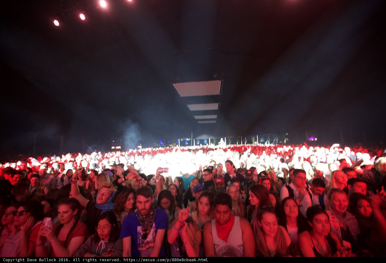 Lights, Crowd, Action