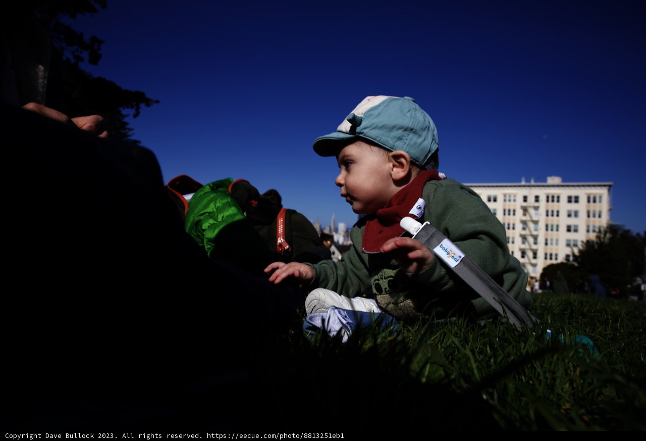 Sunny Day Fun at Alamo Square