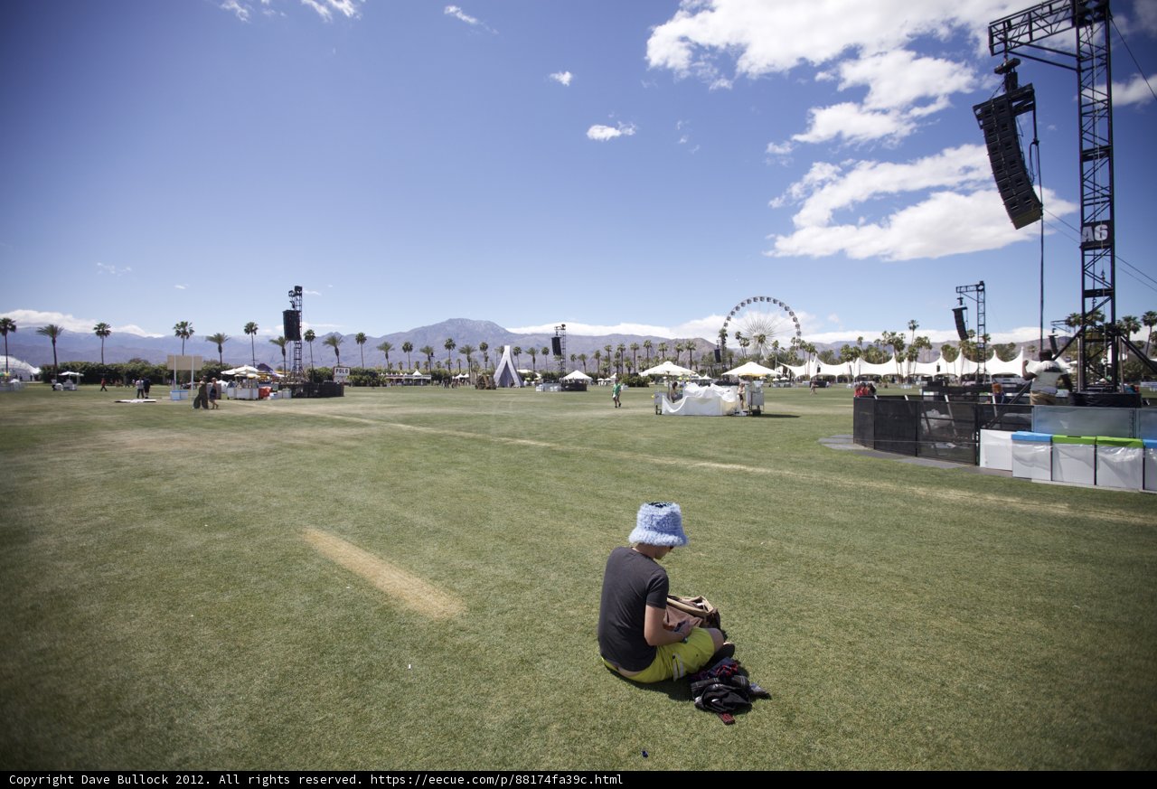 Relaxing on the Grass at Coachella