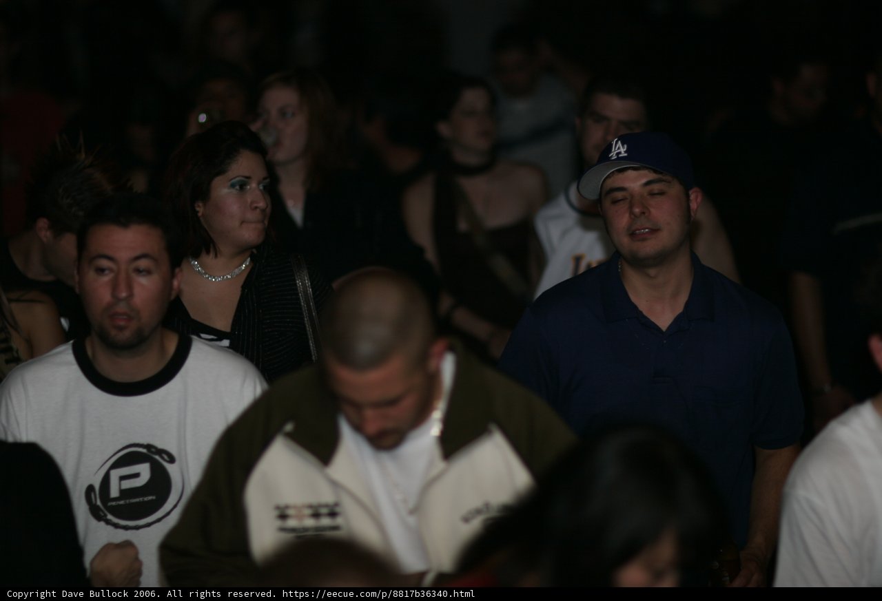 Man in Blue Shirt at Night Club