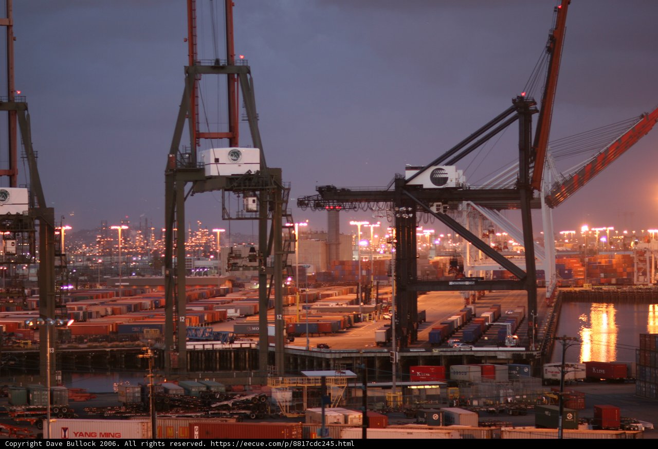 Red Crane on the Waterfront