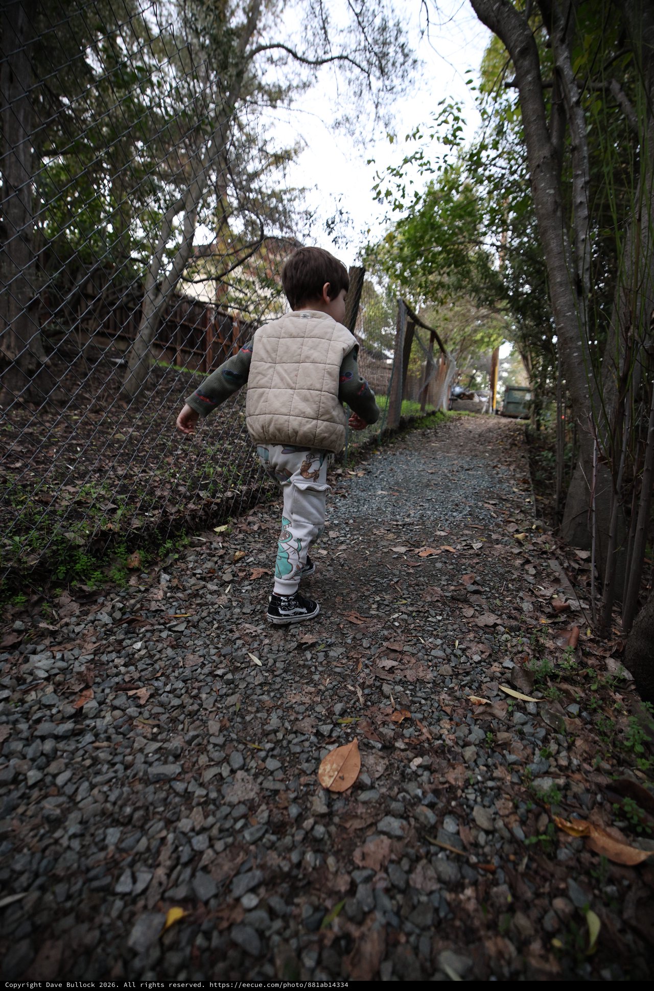 Young Child Walking Along Gravel Path in Autumn