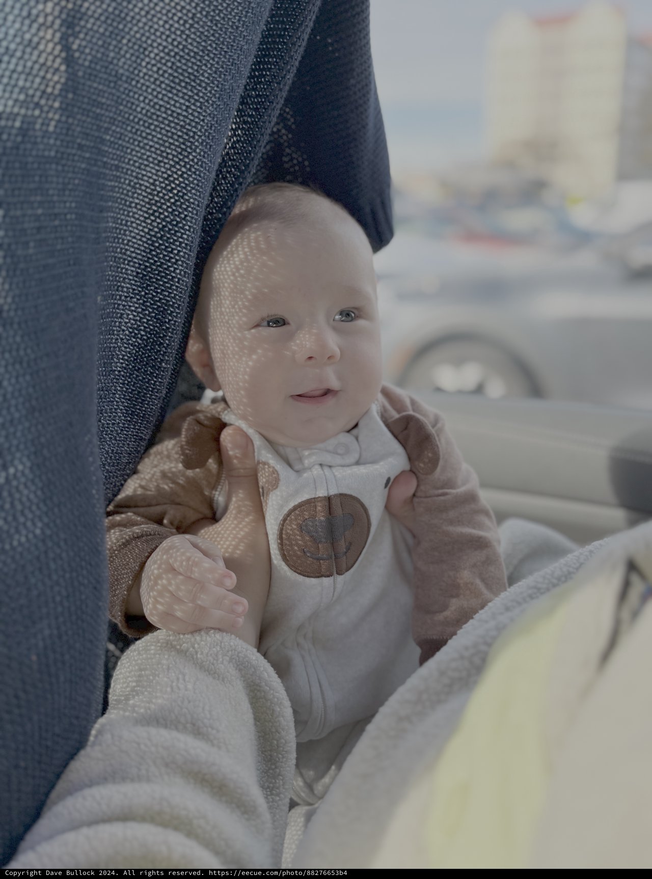 Adorable Baby in Stroller on Sunny Day