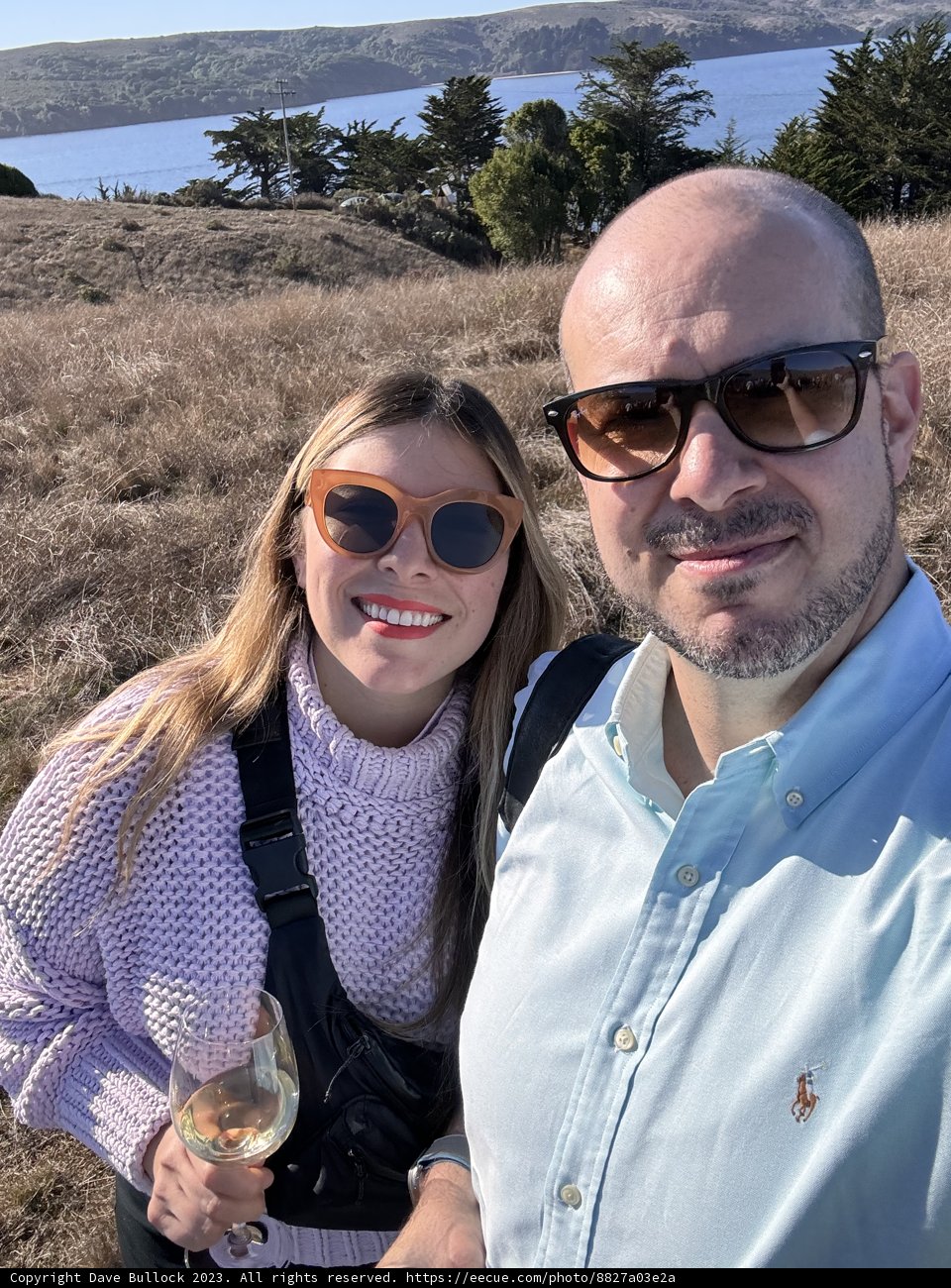 Dazzling Day at Hog Island Oyster Co