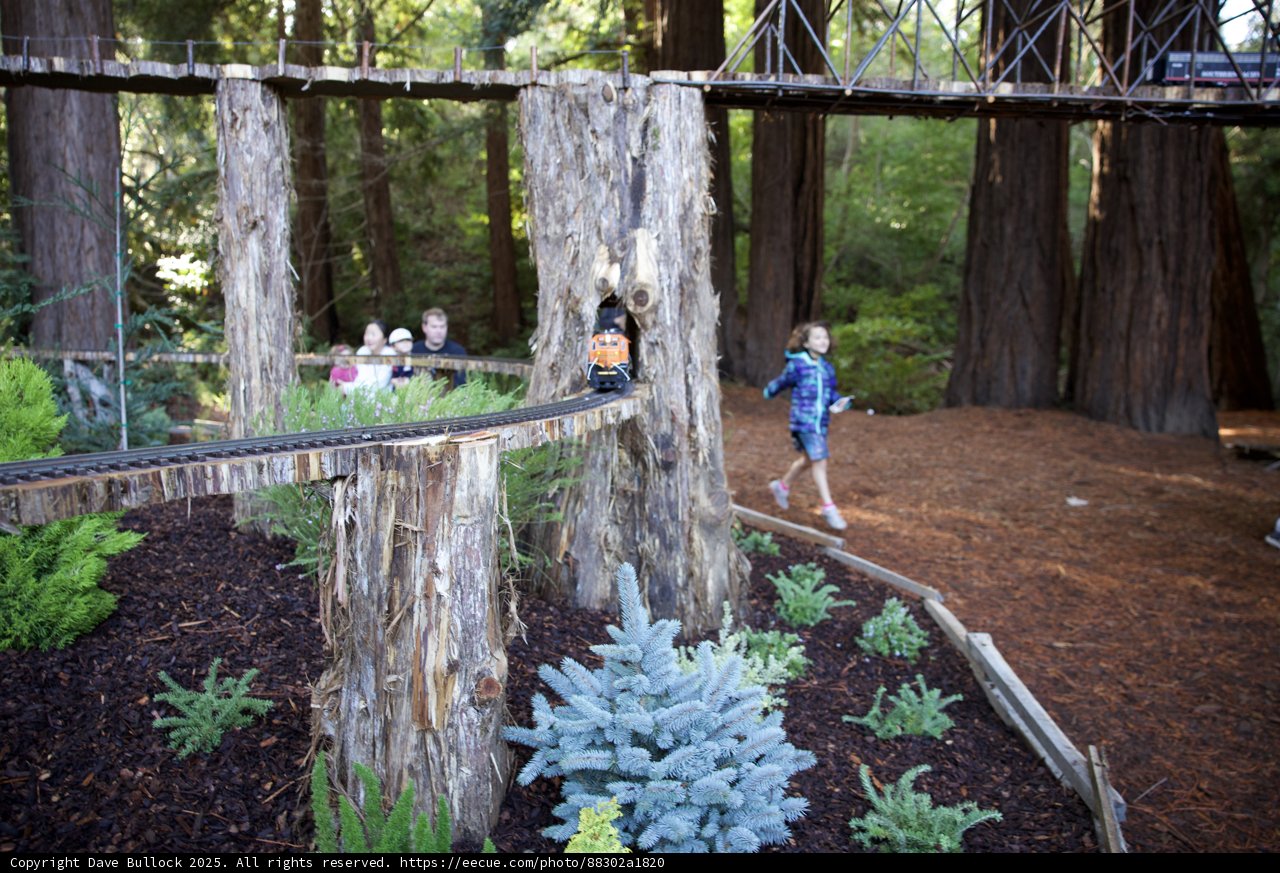 Nature's Miniature Railroad Adventure