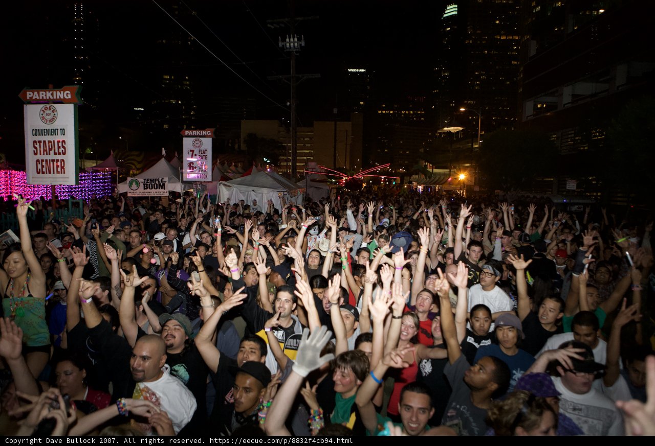 Nocturnal Revelry