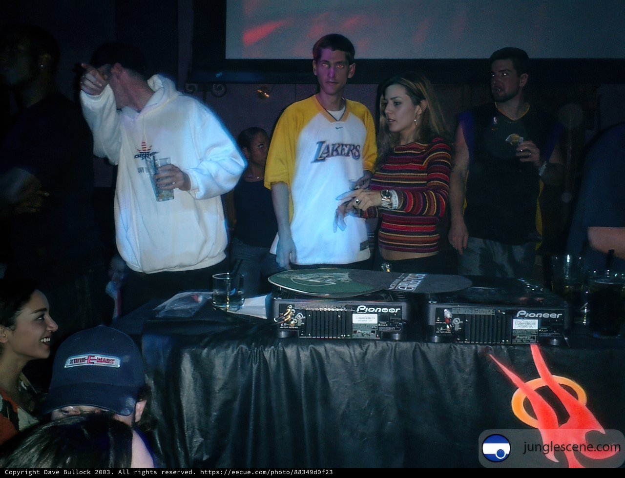 The DJ's Crowd