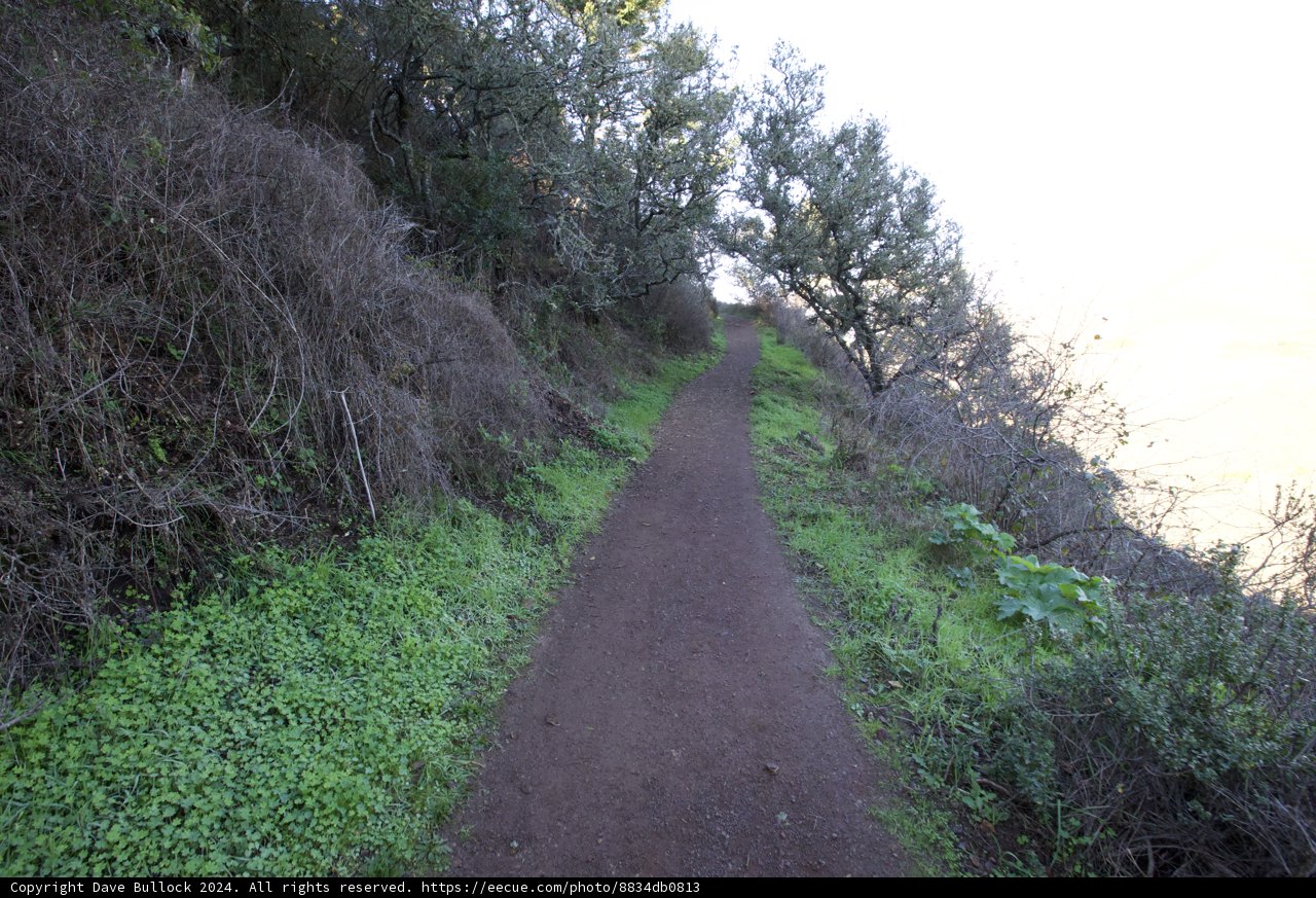 A Stroll Through Nature